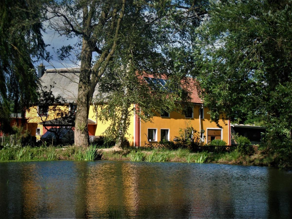 Ferienhof Im Gruenen Herzen Dittersdorf Eksteriør bilde